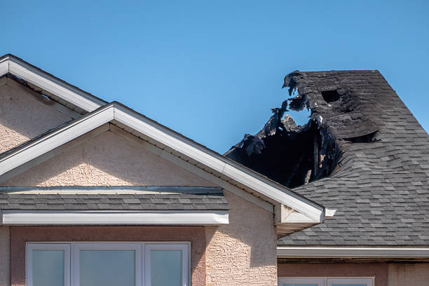 Top rated local Fire Damage Removal specialists in Carrollton, TX